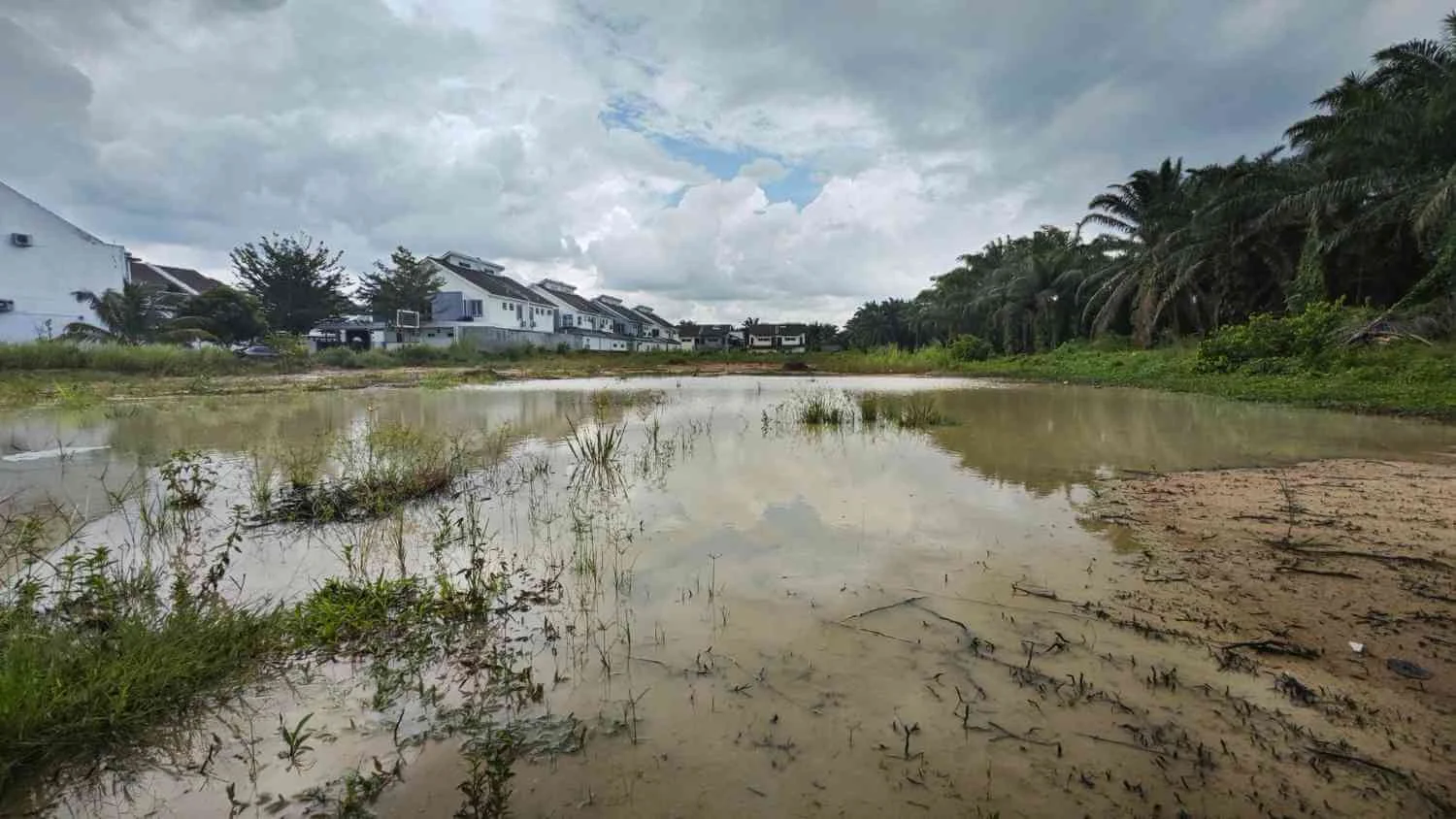 Zona joasa cu vegetatie inundata